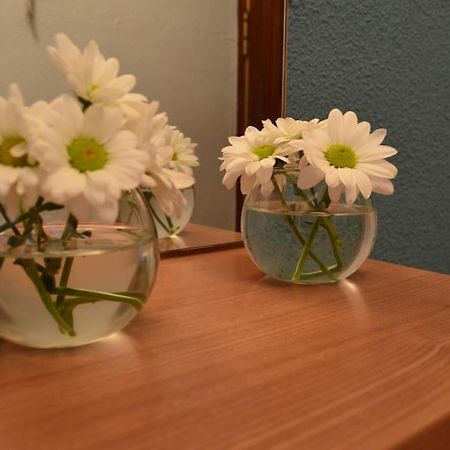 Domus Salamanca Edisson 아파트 외부 사진